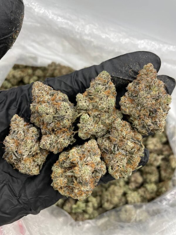 BLUE DREAM