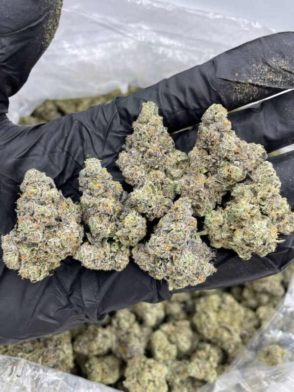 Buy Ghost Strain Haze Cannabis Online