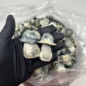 buy Blue meanie mush Shroom online