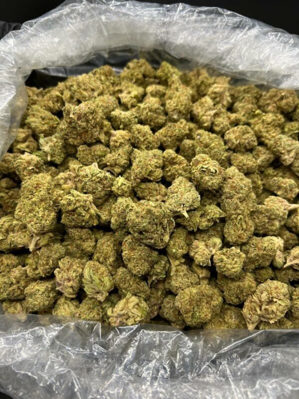 buy Girl Scout Cookies cannabis strain online