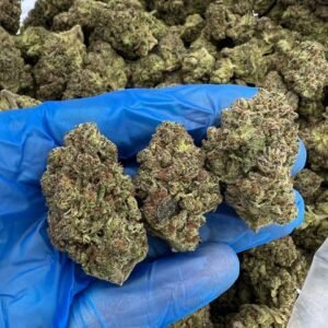 buy Godfather OG cannabis strain online