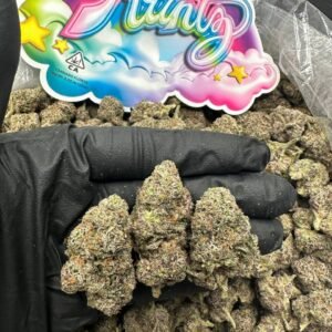 buy Bear Dance cannabis online