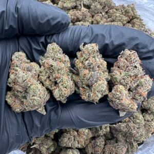 buy faceoff OG cannabis strain online