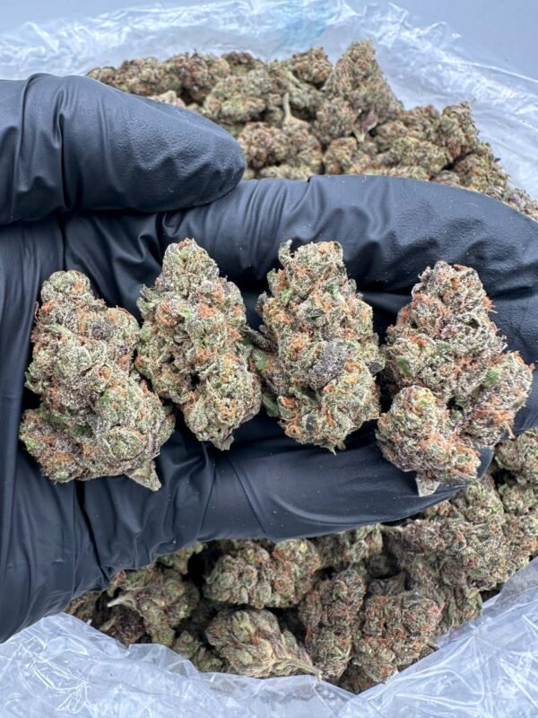buy faceoff OG cannabis strain online