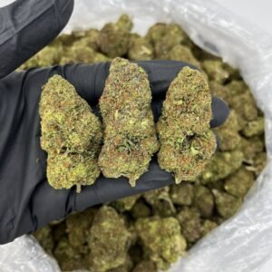 buy space queen cannabis strain online