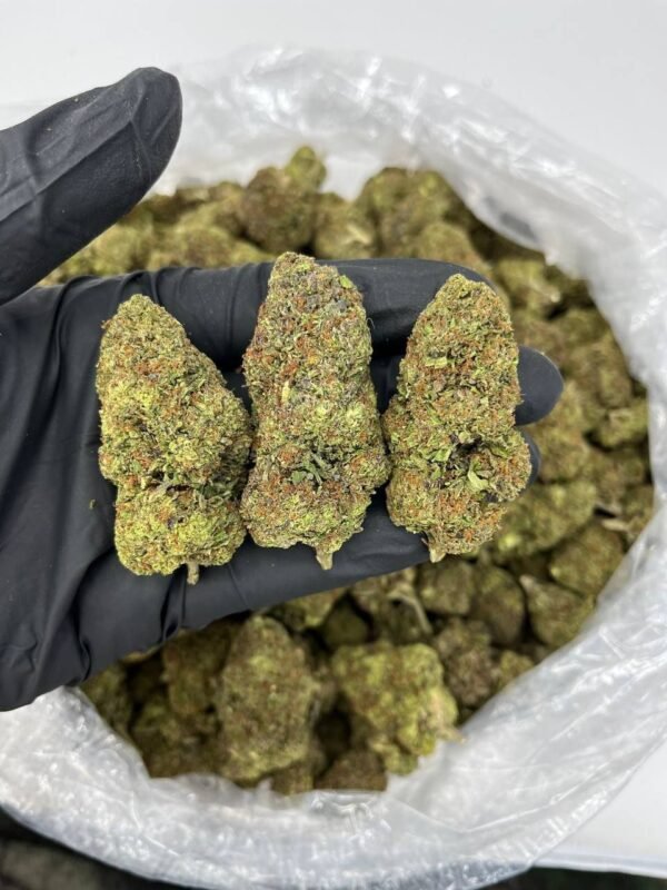 buy space queen cannabis strain online