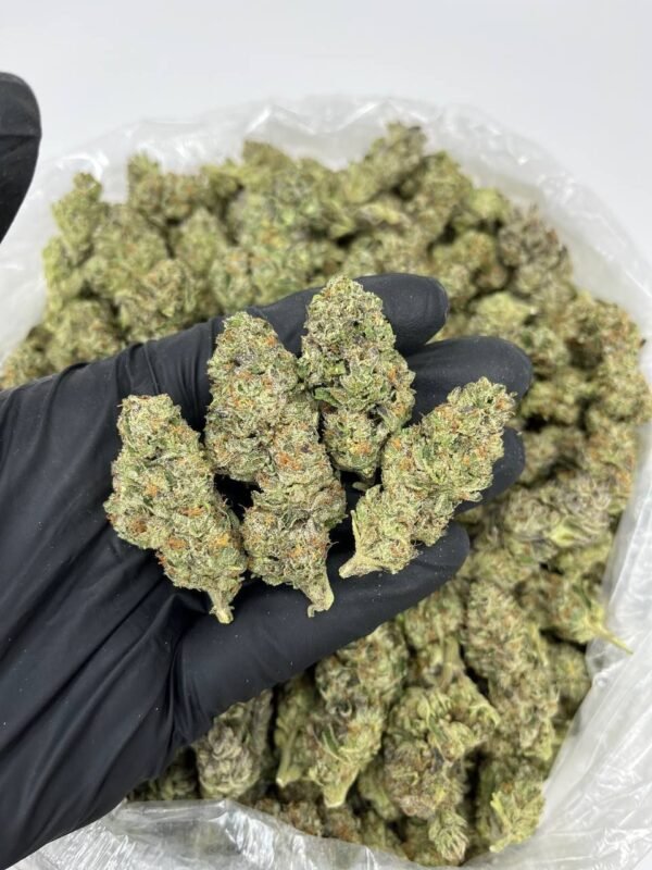 buy Grease Monkey cannabis strain online