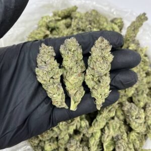 buy weeding cake cannabis online
