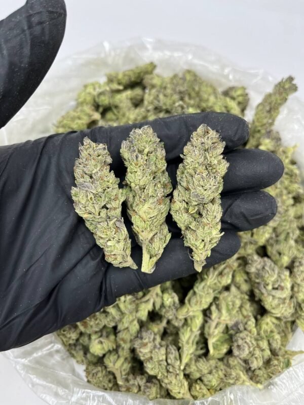 buy weeding cake cannabis online