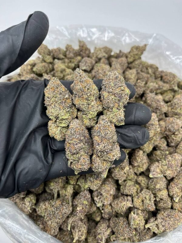 buy lemon kush cannabis strain online