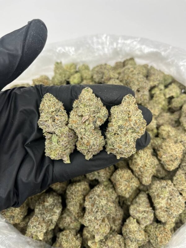 buy gorilla glue cannabis strain description