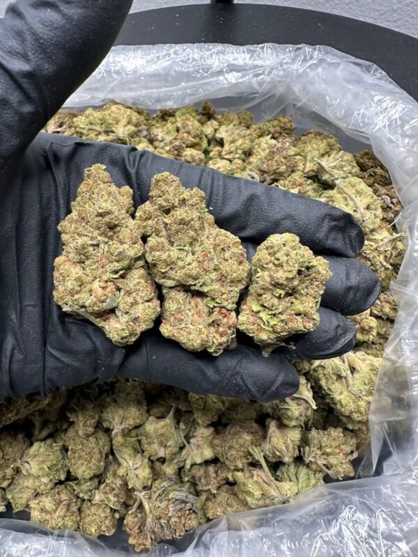 Buy white zlushie cannabis online