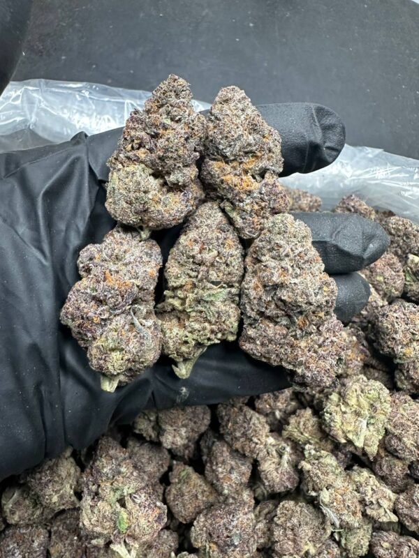 buy Sherbbanger cannabis online