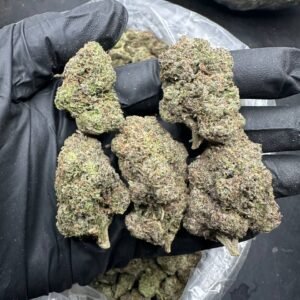 buy pink lemonade cannabis online