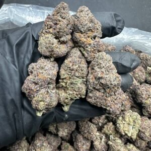 buy gloe cannabis strain online