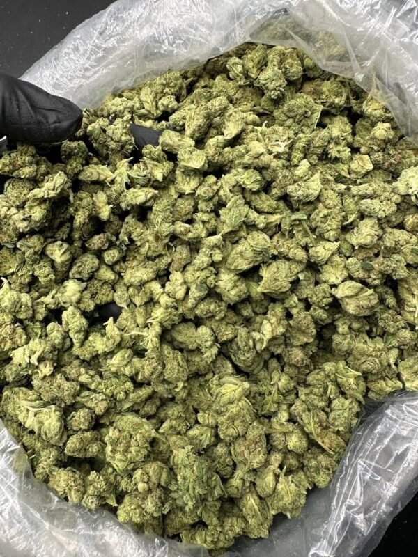 buy grease monkey cannabis strain online