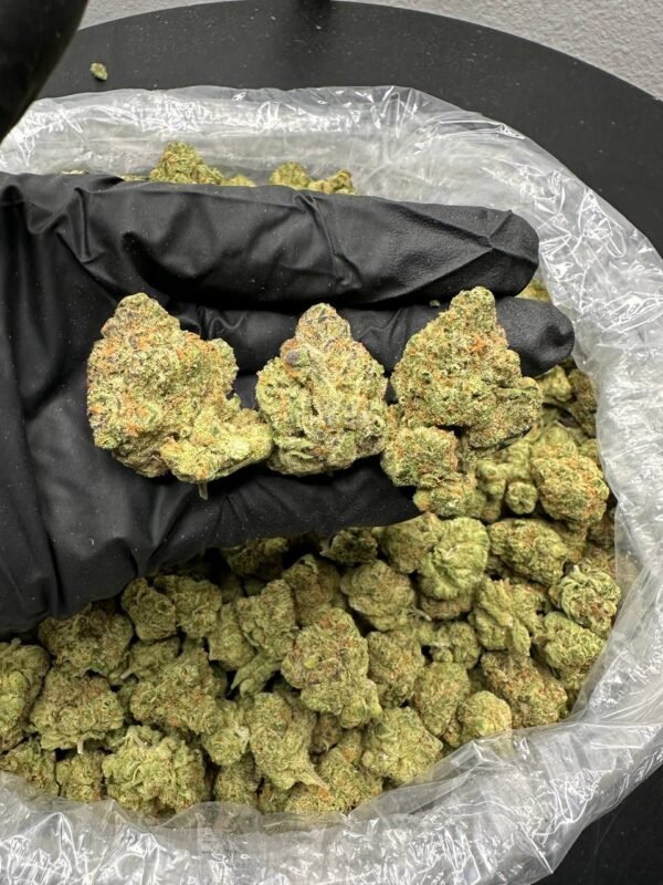 buy Sour Larry Lime pebbles cannabis strain online