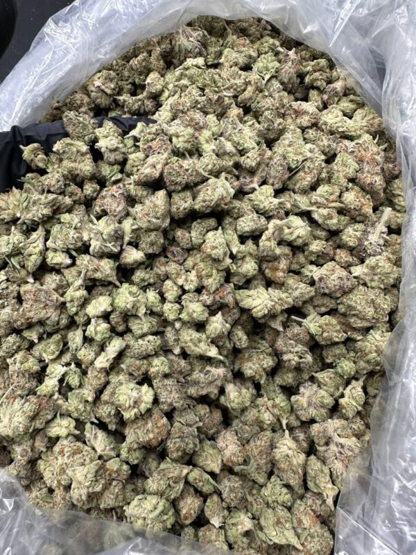 buy Oreos cannabis strain online