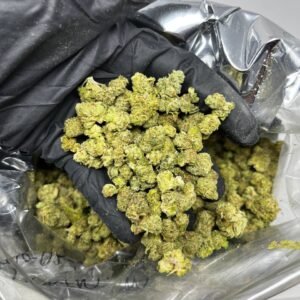 buy CHERRY PUNCH cannabis strain online
