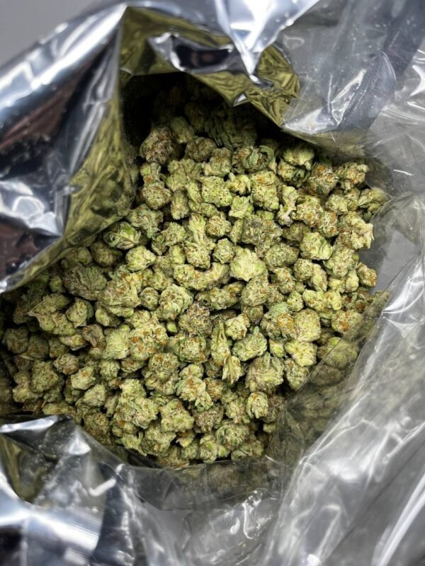 buy GORILLA GLUE cannabis strain online