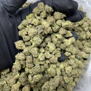 Buy GREEN CRACK cannabis strain online