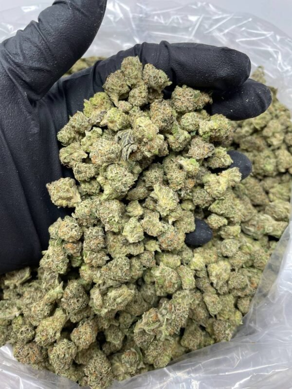 Buy GREEN CRACK cannabis strain online