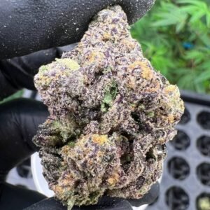 Buy Super Lemon Haze cannabis strain online