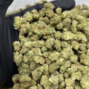 Buy FORBIDDEN FRUIT cannabis strain online