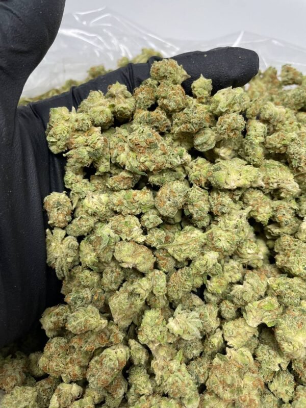 Buy FORBIDDEN FRUIT cannabis strain online