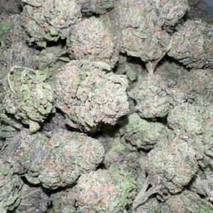 Buy blue french toast cannabis online