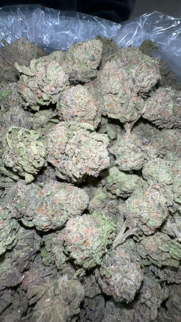 Buy blue french toast cannabis online